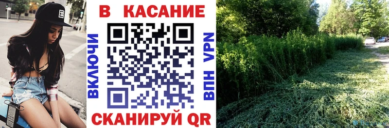 Альфа ПВП Прокопьевск