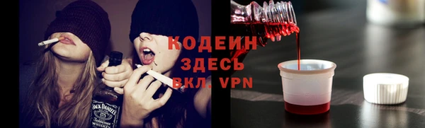 мдпв Костерёво